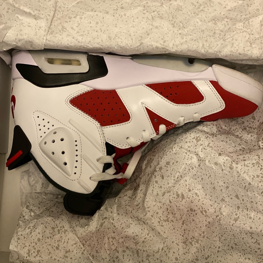 Jordan carmine 6